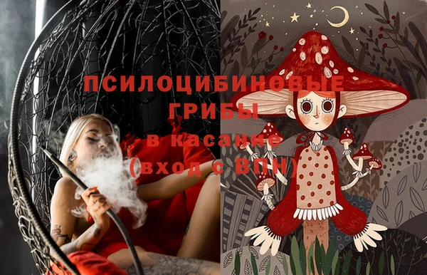 тгк Билибино