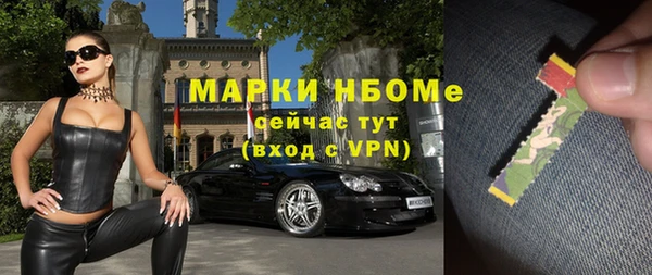 ECSTASY Новозыбков