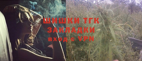 ECSTASY Новозыбков