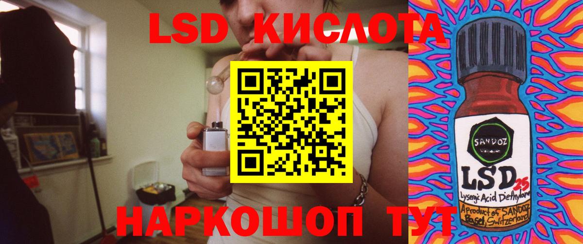LSD-25 экстази кислота  Новоалександровск  Лсд 25 экстази кислота 