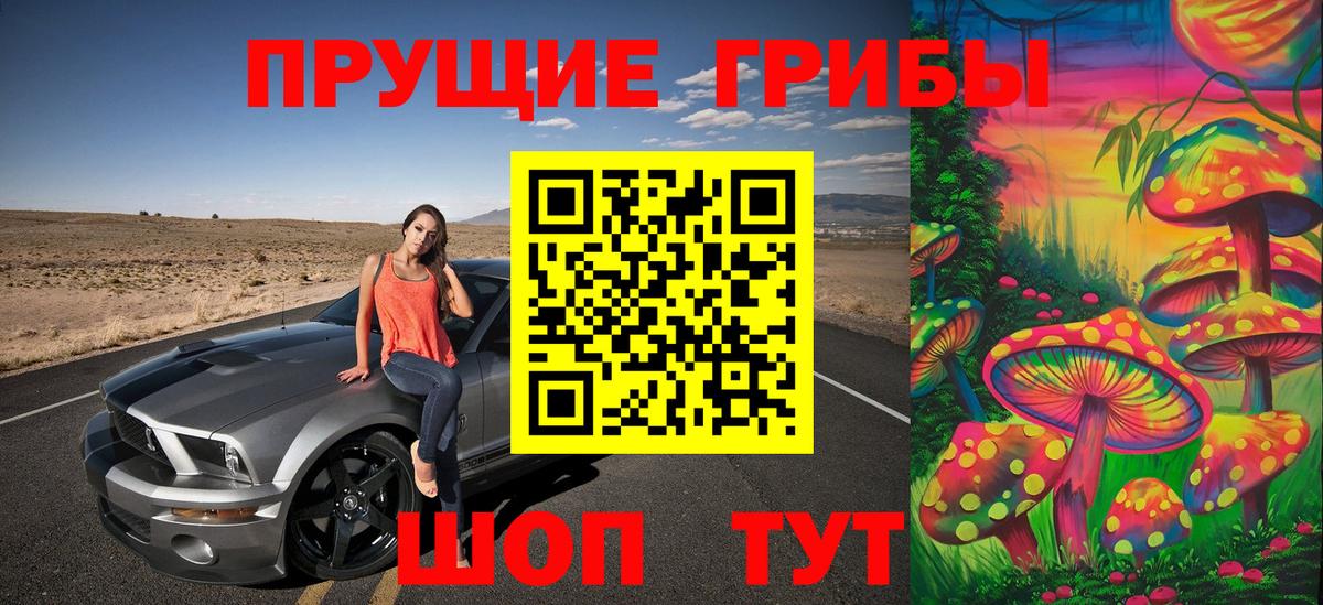 Галлюциногенные грибы GOLDEN TEACHER  Вход с VPN  Новоалександровск 