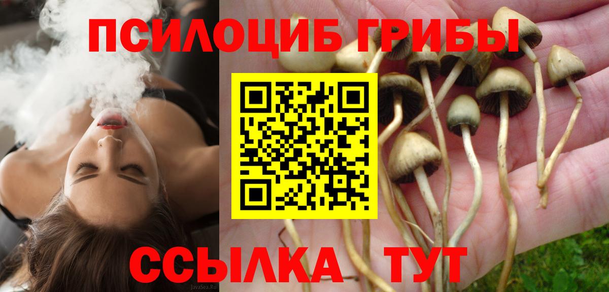 НБОМе Новоалександровск