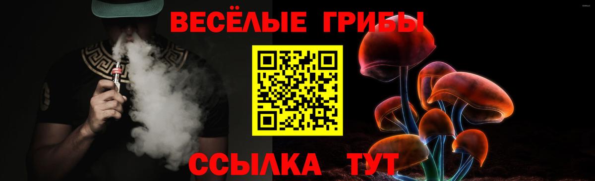 Псилоцибиновые грибы MAGIC MUSHROOMS Новоалександровск