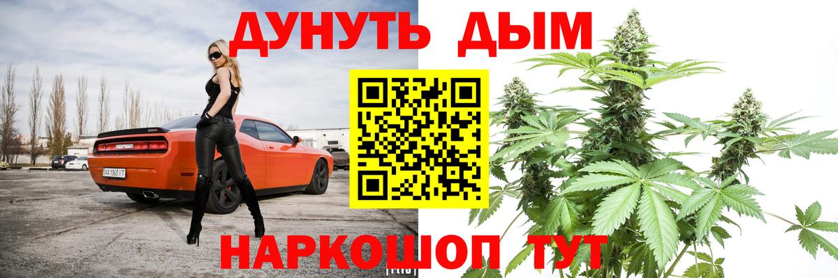 Шишки марихуана Amnesia  Марихуана Bruce Banner  Вход с VPN  Новоалександровск  Каннабис ГИДРОПОН  Канабис тримм 